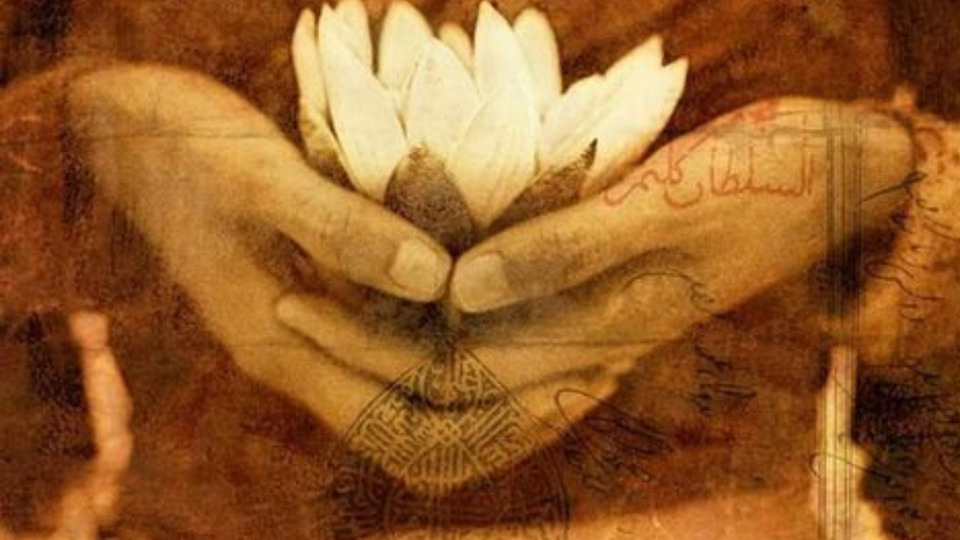 Offering Image