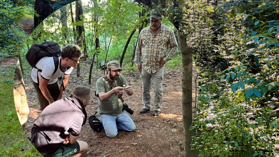Forest Forage & Yoga @ Ox Lake 🍄 🧘‍♀️ 🌲