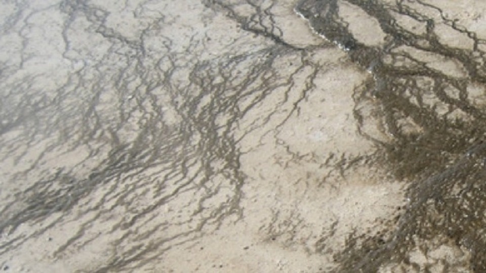 5 Meditative Hypnotherapy Sessions