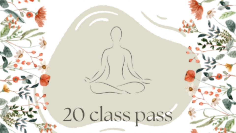 20 Class Pass