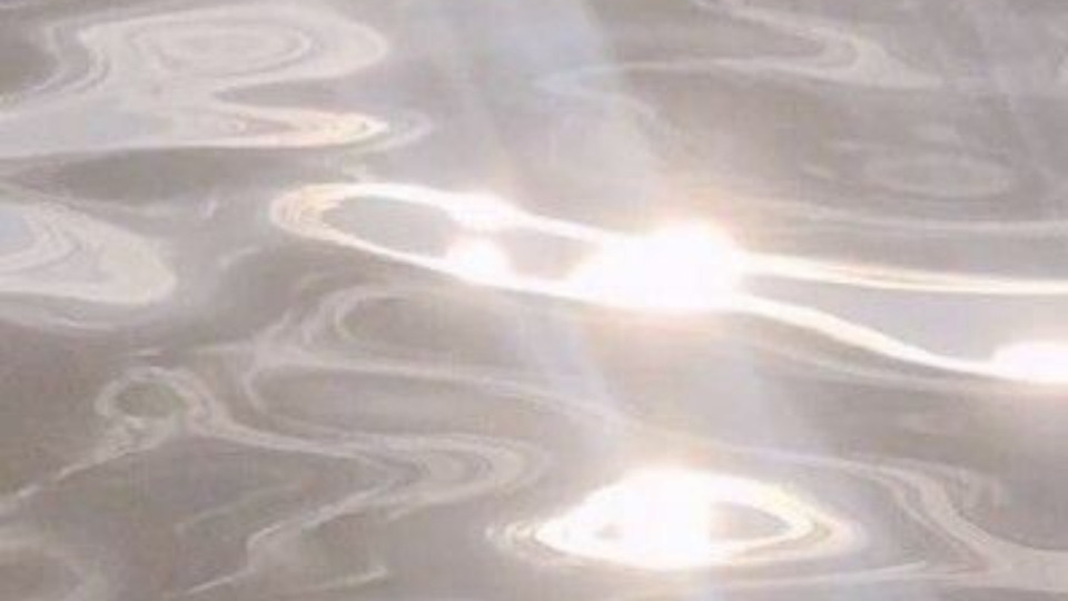 Dedicated Yogin (Auto-Renew Monthly)	