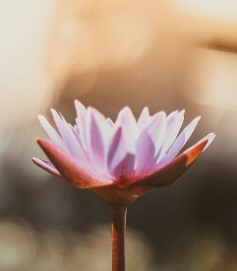 Summer Solstice Kundalini
