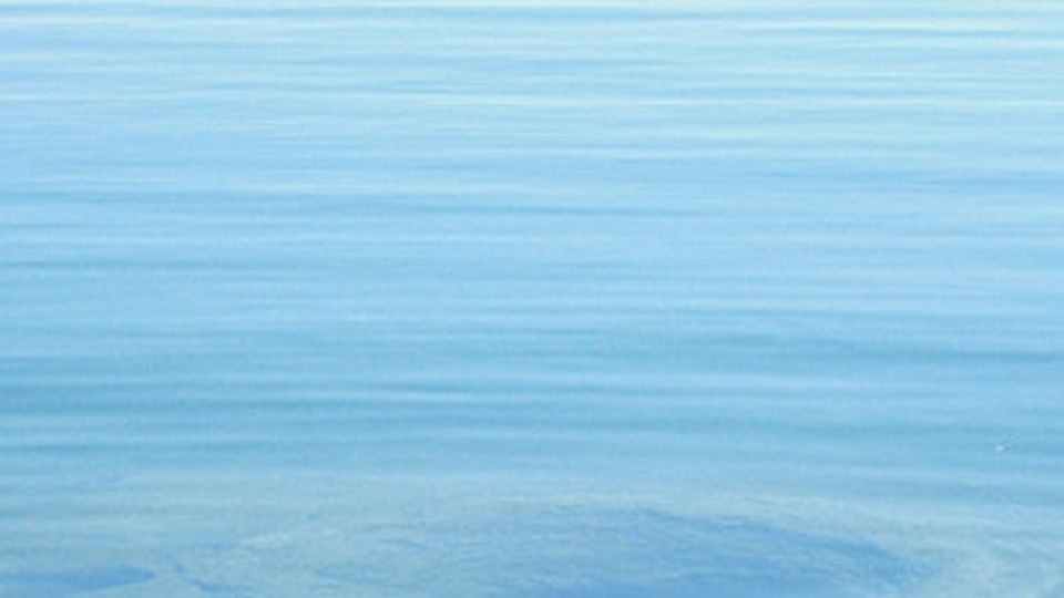 Single Online Meditation Class