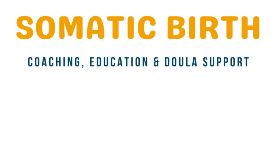 Doula Support Referrals for Community Organizations
