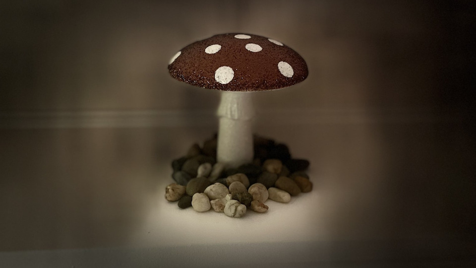 Offering Image