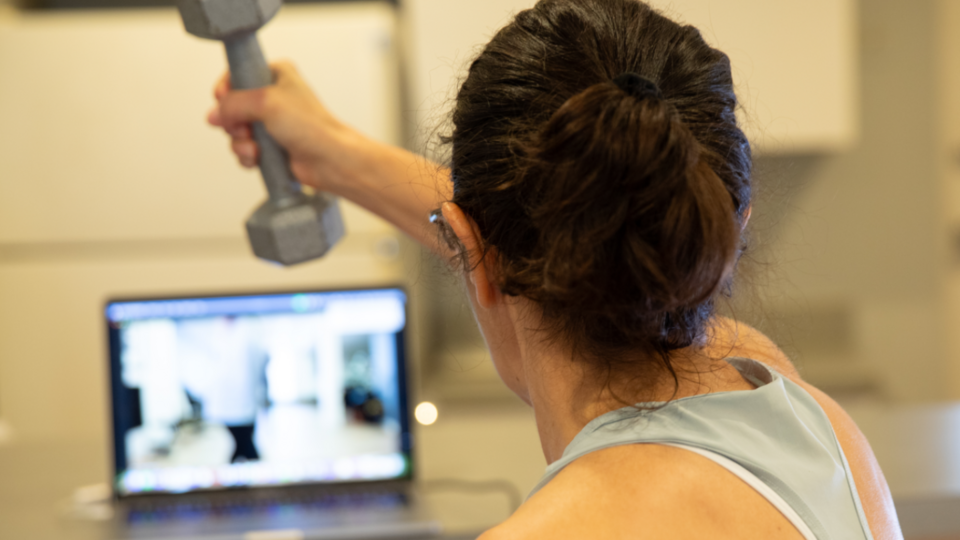 Online Virtual Training