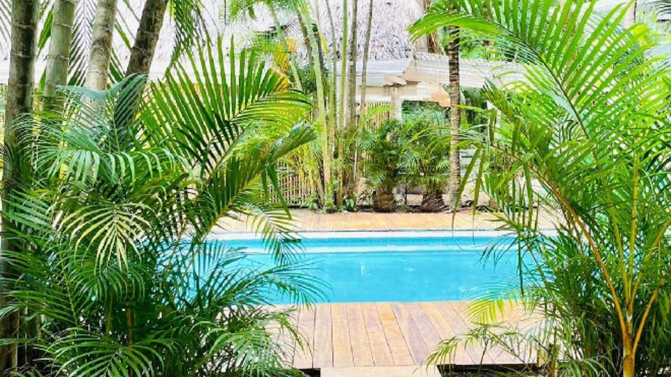 60 Min Yoga Flow from the Jungle of Costa Rica!