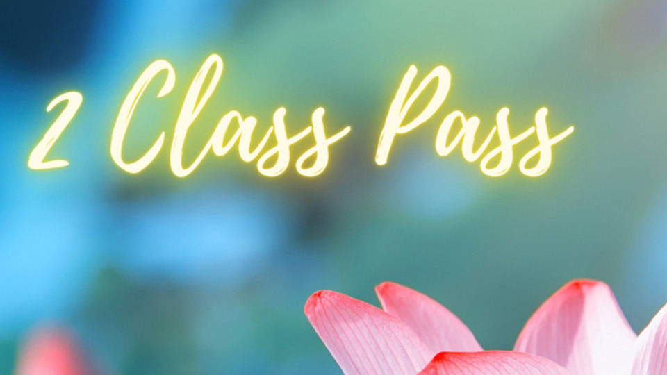 In Studio or Off Site 2 Class Pass (Can Be Purchased as a Gift)