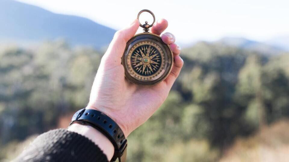 6 Gestalt Coaching Sessions