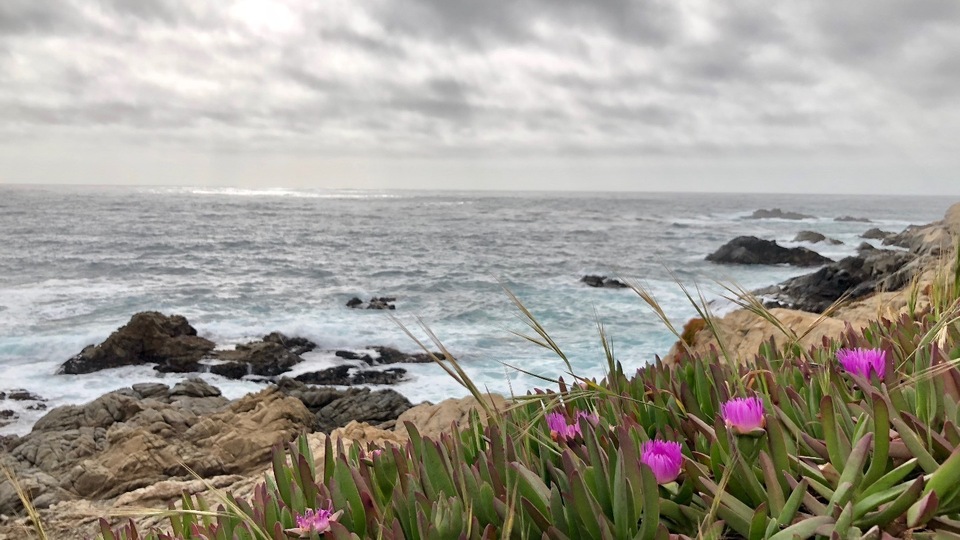  Firm Foundation: 3 Class Package.