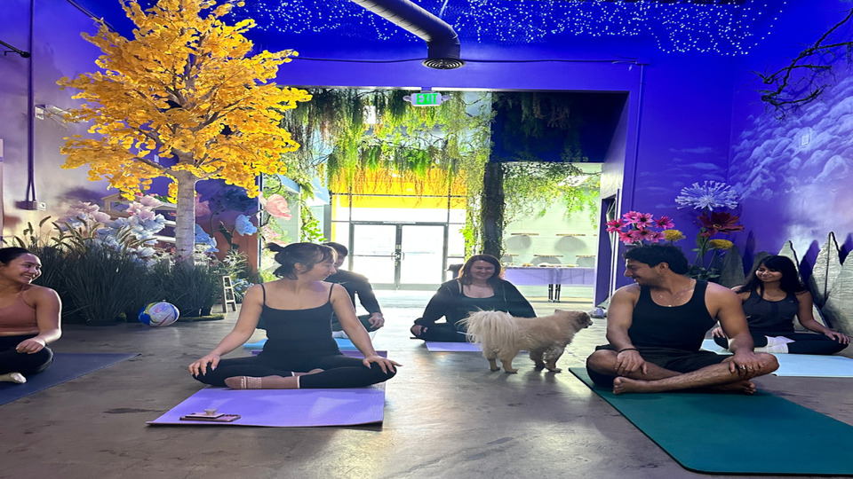 BODY x Yin Yoga