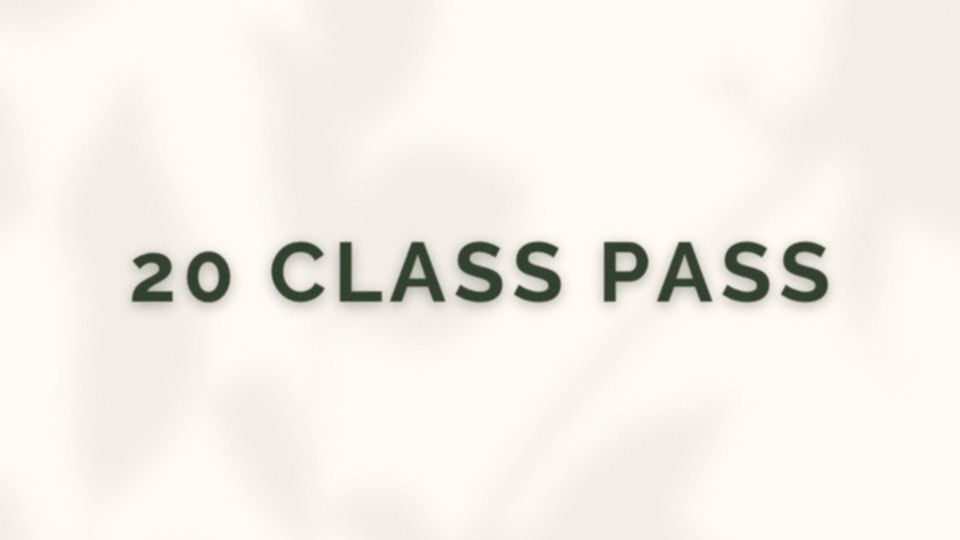 20 Class Pass