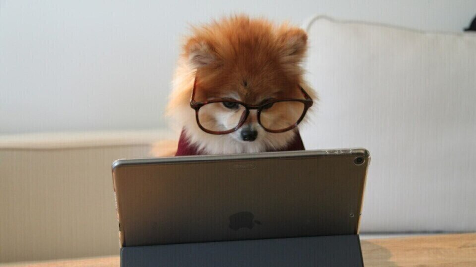 3 Virtual Gestalt Coaching Sessions