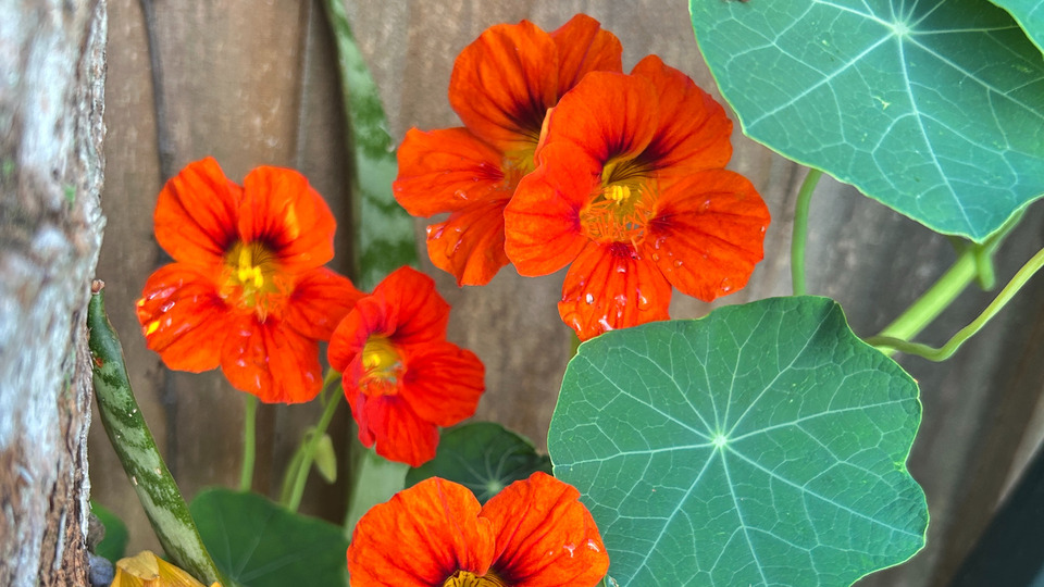 Visitors Special 3-month Unlimited