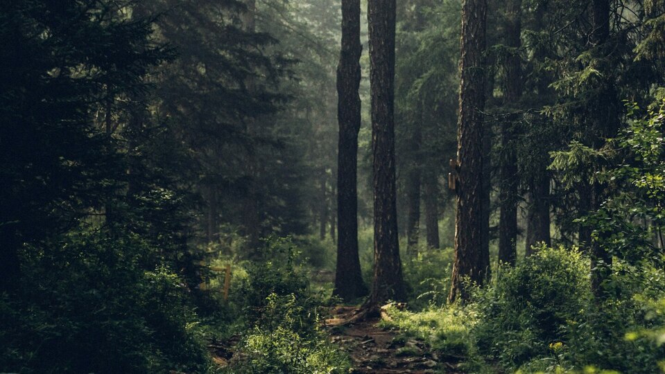 Monthly Mini Retreat Membership