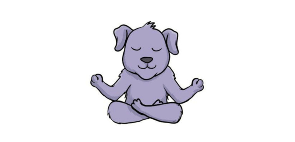 10 Classes (one person)