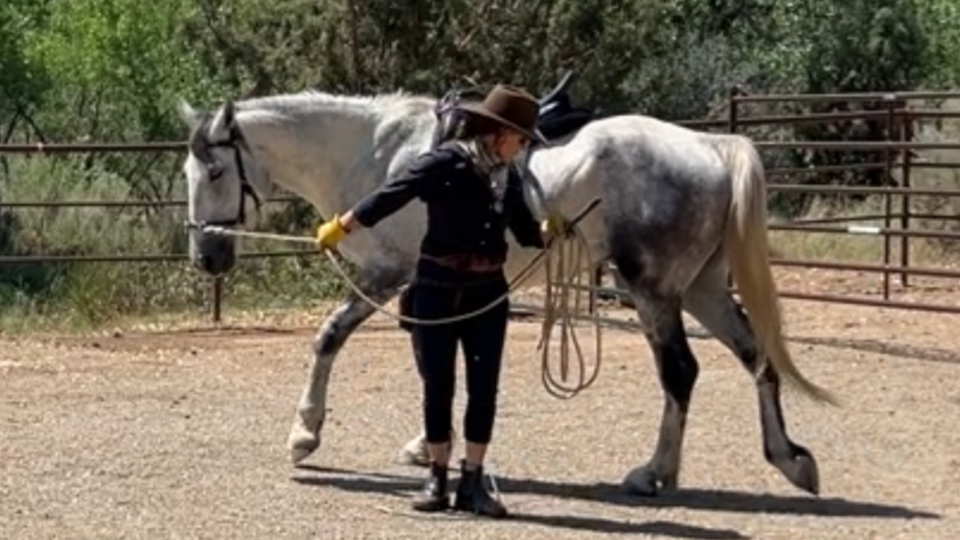 4x Zoom 60-minute Horsemanship Online Training
