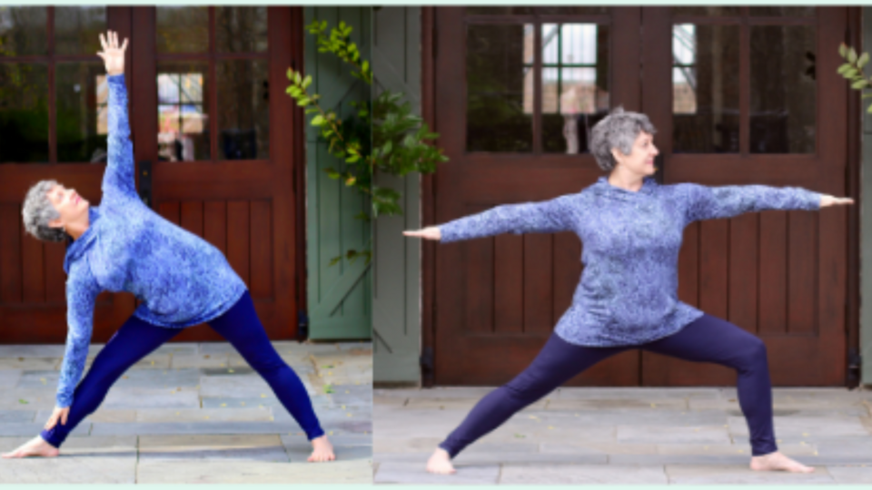 What's a Vinyasa? Intro to Flow