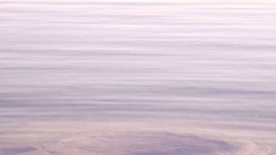 Private Yoga Sessions: Feel Good Package