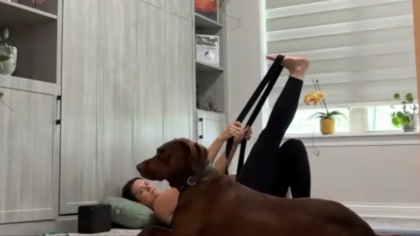 Let It Go - Even When Your Dog Won't