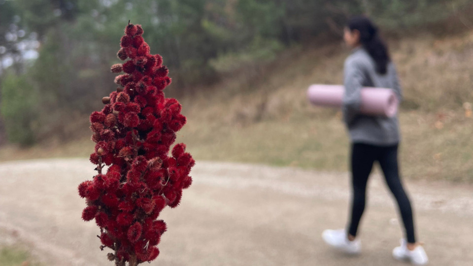 ONLINE AND IN PERSON COMBINED