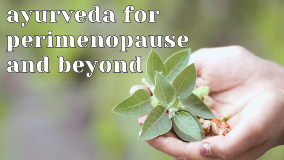 Ayurveda for Perimenopause and Beyond