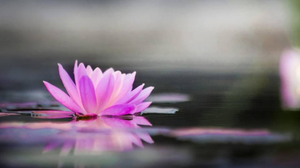 Founding Member Reiki Membership 🌟 1 Session/Month 🌟 $80/month Only 10 spots available