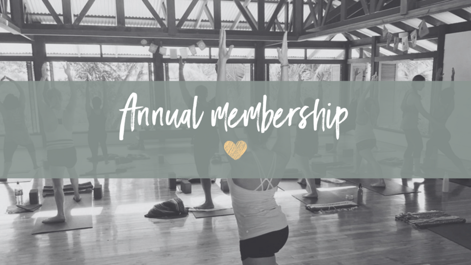 Unlimited Annual Membership (TWO Months Free)