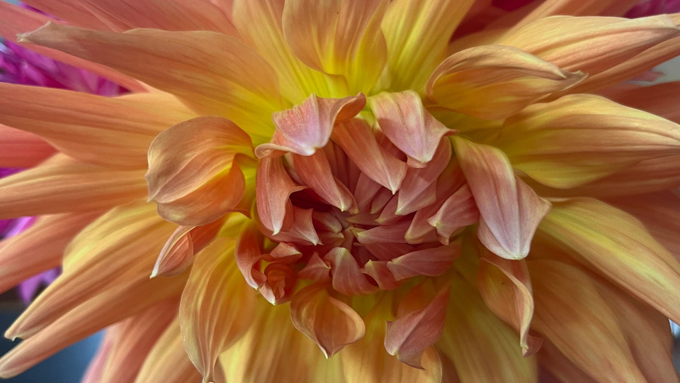 Offering Image