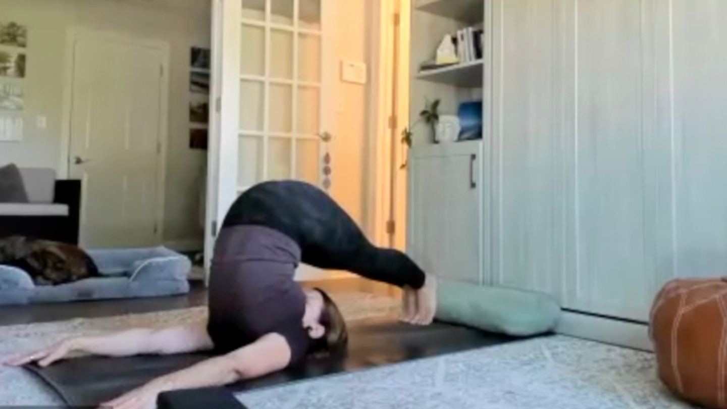 Rise, Release, Root: A Morning Mobility Practice