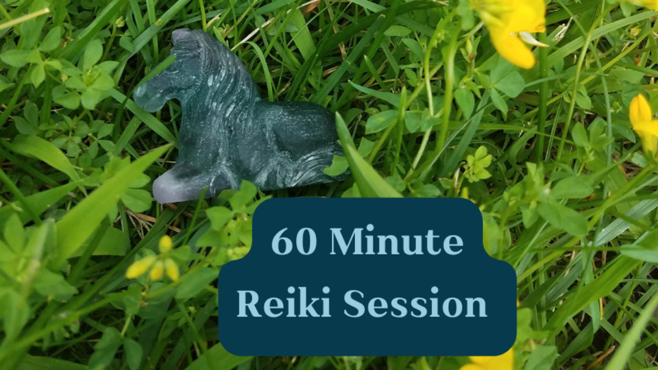 Three 60 Minute Distance Reiki Sessions