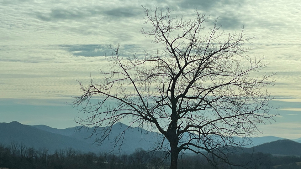 Online Private Yoga Sessions--5 Class Package