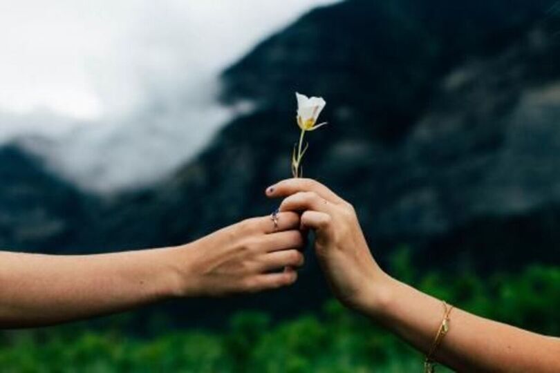 Offering Image