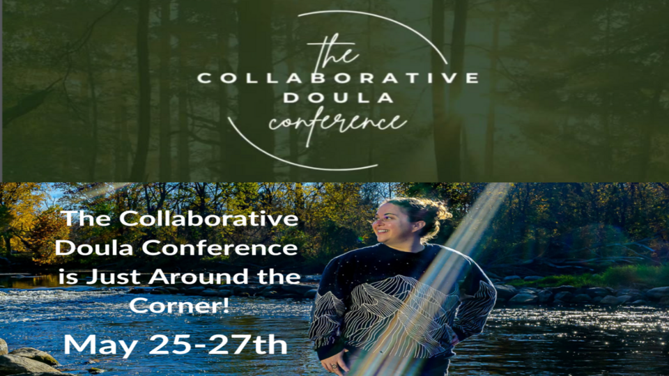 Care is not Neutral Panel at the Collaborative Doula Conference