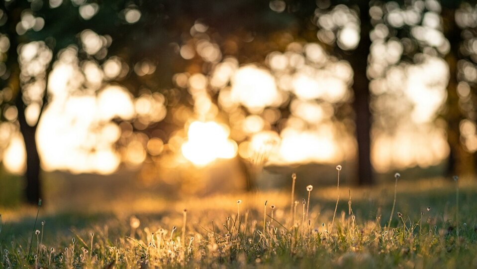 Rhythm of Rest - A Conscious Rest Mini Retreat