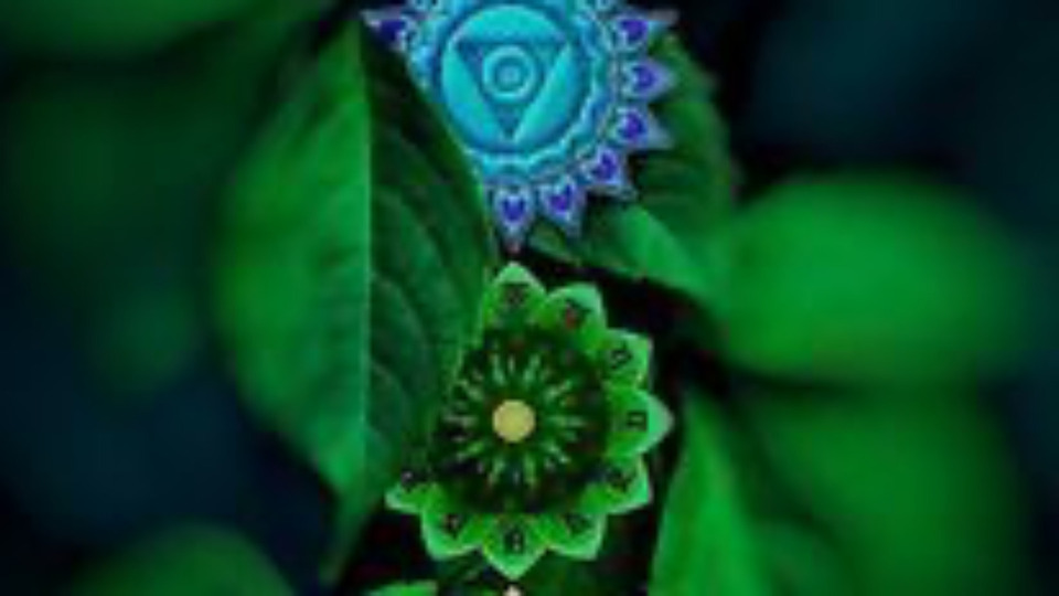 Yin Yoga Workshop: The 7 Chakras as a Gateway to Embodied Presence
