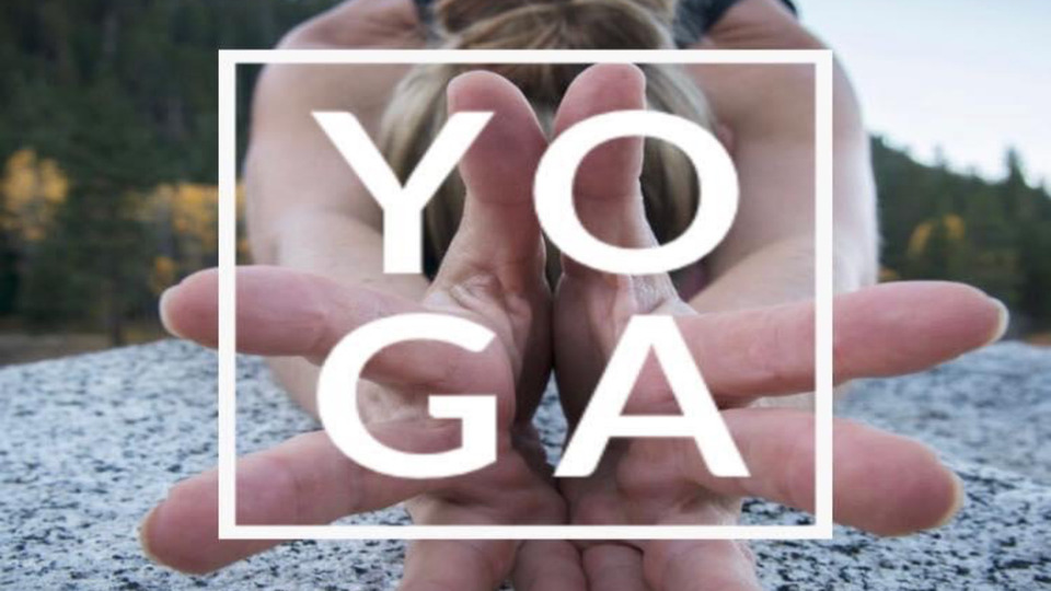 Unlimited Monthly (On-Demand only)