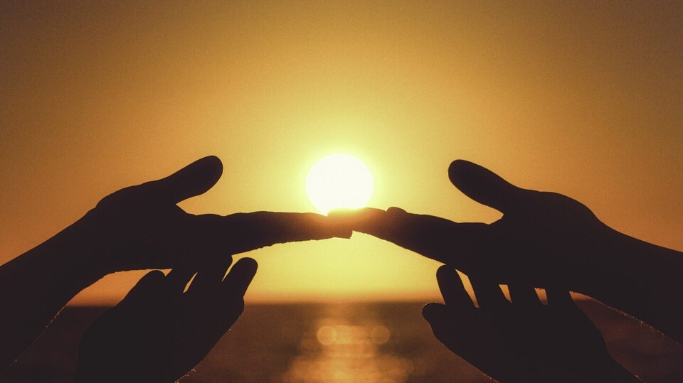 Supporter Online Membership