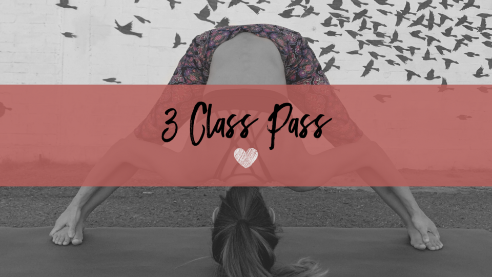 3 Class Package (save $9)