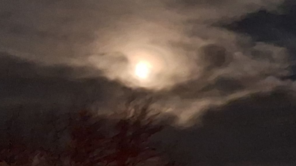 Full Moon Yin