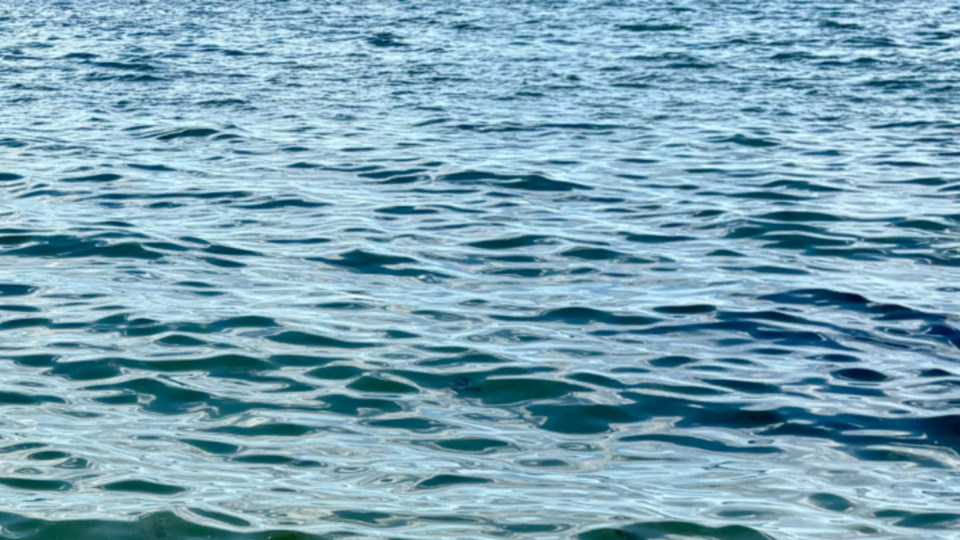 Blue Mind Yoga - A Multi-Sensory, Oceanscape Experience Activating Your Blue Mind State
