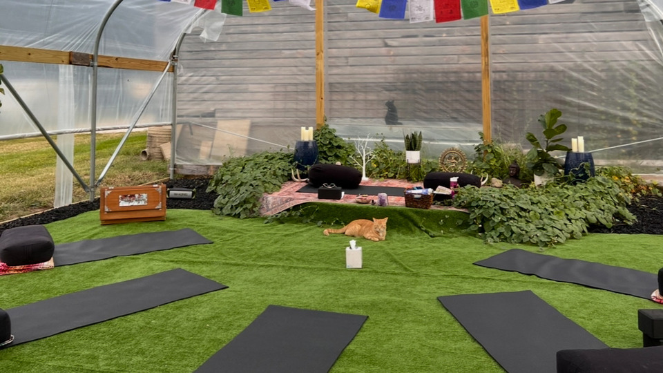 Yoga in the Greenhouse