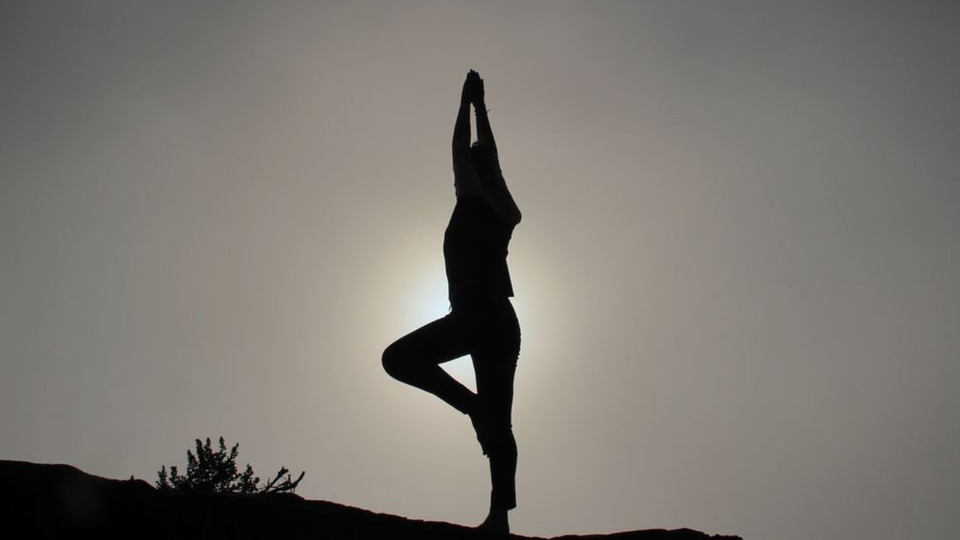 Unlimited Live & On-demand classes - Annual