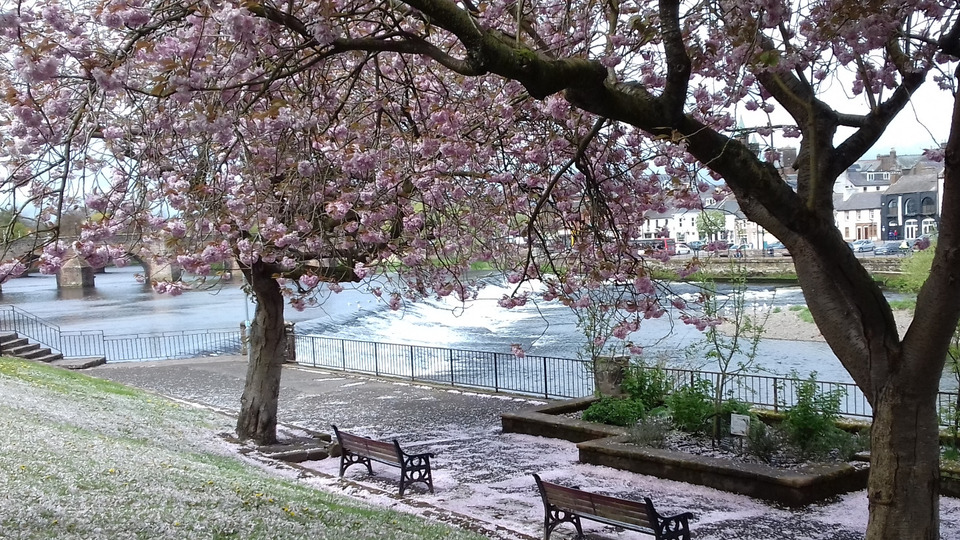 Dumfries 4 class pass