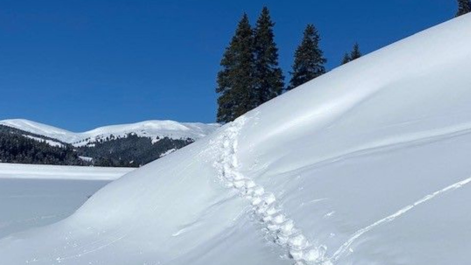 The Grief Series: Grief and the Holidays with Katie Mattei