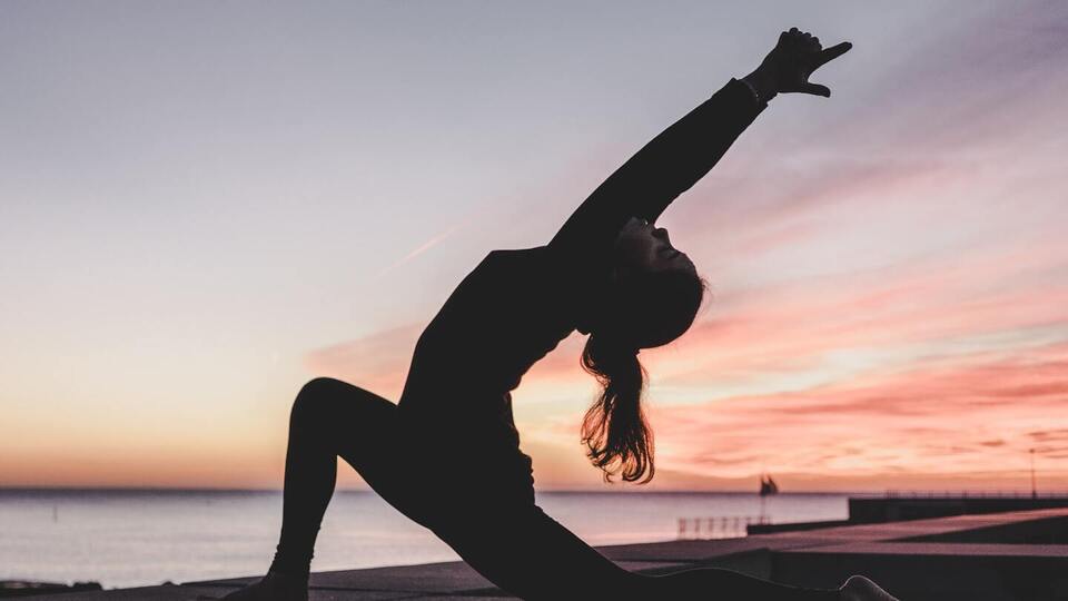 Zen Dandelion 10 pack