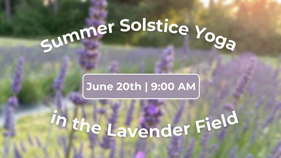 Summer Solstice Yoga @ Lavender Harvest Celebration