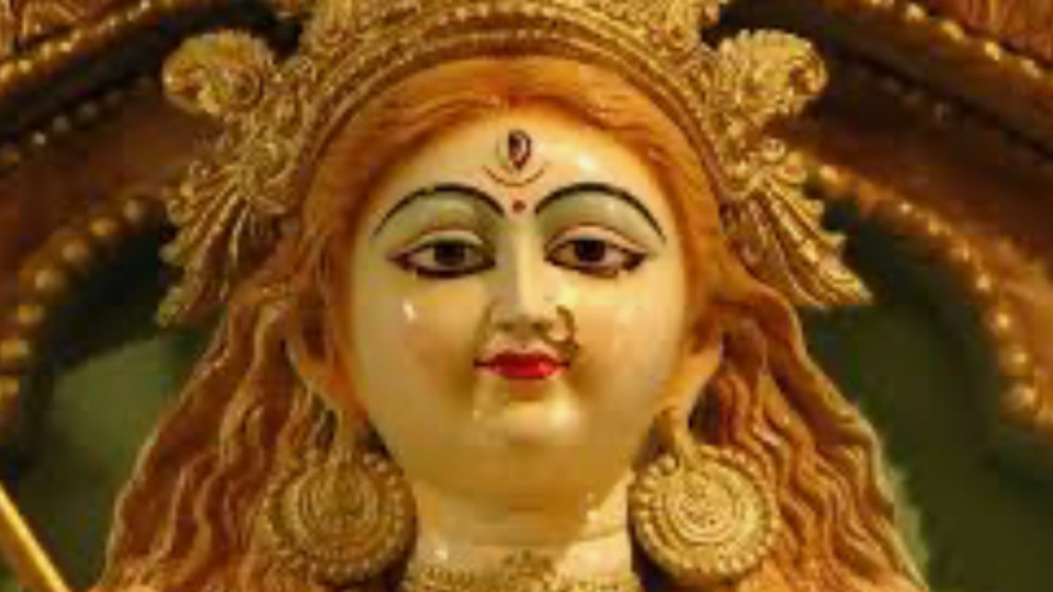 8 Class Zoom 5 Week Parvati membership