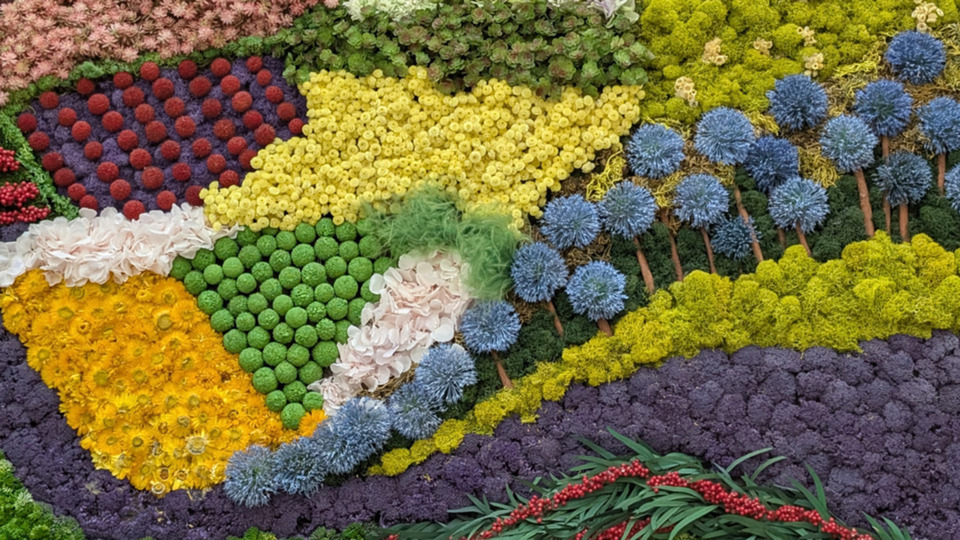 Offering Image