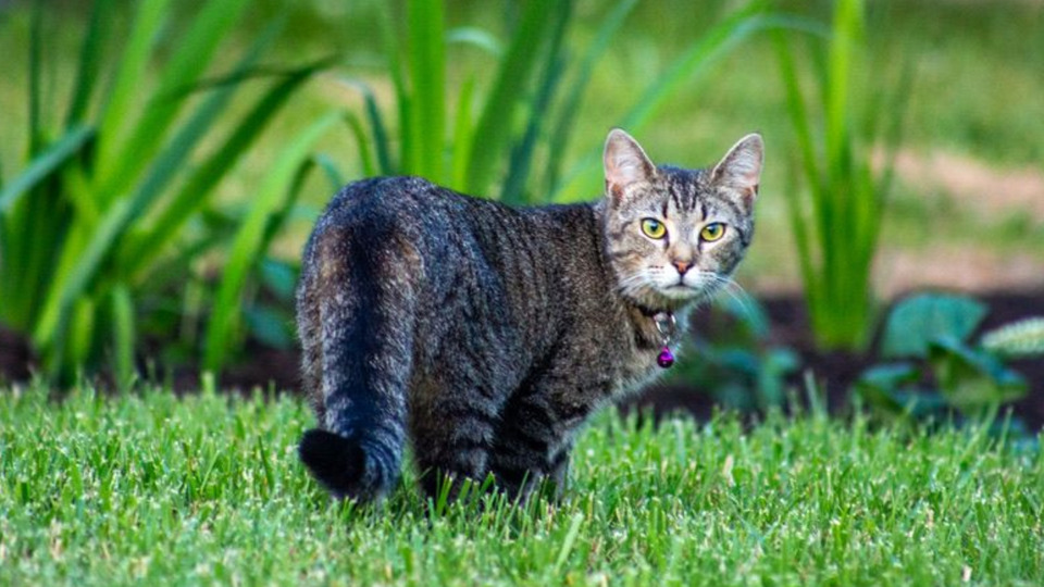 The Web of Discovery